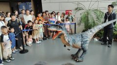 进入到第二批验证中